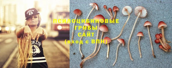 2c-b Волосово
