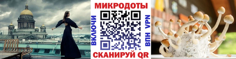 Псилоцибиновые грибы мицелий Галич